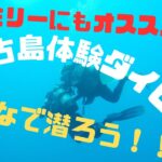 2023年 【宮古島】体験ダイビングレポート