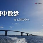 2023年 海中散歩『光と泡に囲まれて』#宮古島通り池 #宮古島 #ダイビング