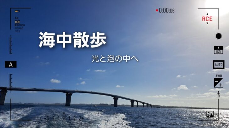 2023年 海中散歩『光と泡に囲まれて』#宮古島通り池 #宮古島 #ダイビング