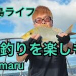 2023年 宮古島ライフ　釣りを楽しもう　#宮古島釣り