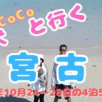 2023年 愛犬と行く宮古島の旅（前編）