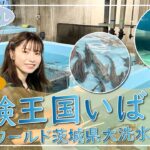 いばらき推し「体験王国いばらき～アクアワールド茨城県大洗水族館①～（大洗町）」【出演：横山由依】