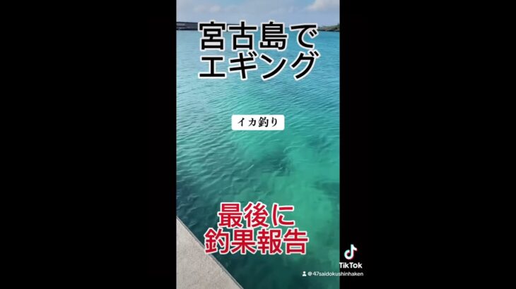 2023年 宮古島でエギングとサーフィン