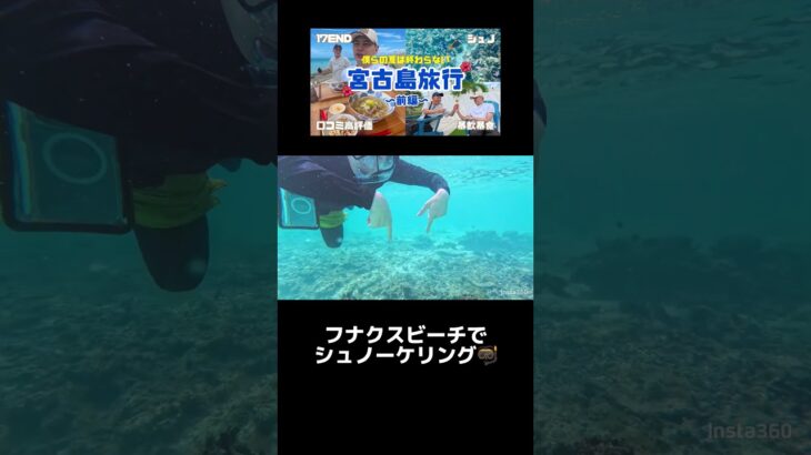 2023年 フナクスビーチでシュノーケリング🤿#宮古島 #宮古島vlog #宮古島旅行 #シュノーケリング #海 #フナクスビーチ #宮古島観光 #沖縄 #沖縄旅行 #沖縄観光 #旅行 #旅行vlog #海水魚