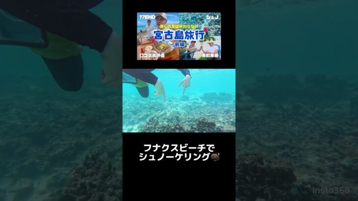 2023年 フナクスビーチでシュノーケリング🤿#宮古島 #宮古島vlog #宮古島旅行 #シュノーケリング #海 #フナクスビーチ #宮古島観光 #沖縄 #沖縄旅行 #沖縄観光 #旅行 #旅行vlog