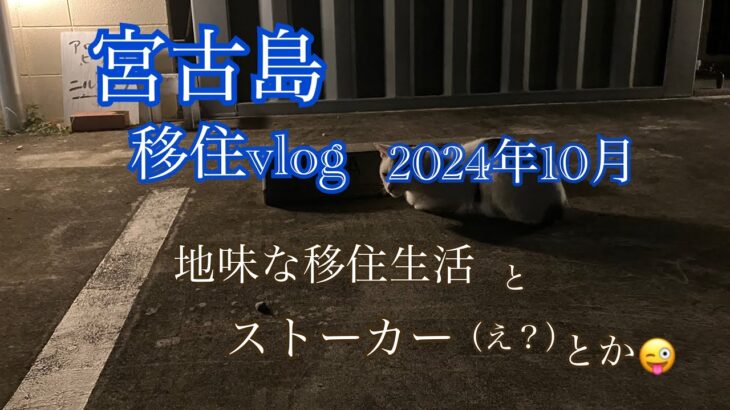 2023年 【移住vlog】2024年10月。宮古島移住生活🏝️1ヶ月のまとめ日記。