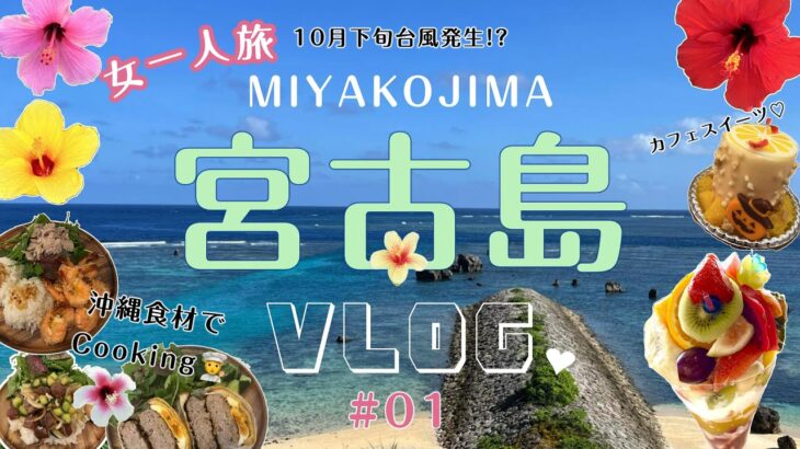 2023年 【10月宮古島二週間ひとり旅①】季節外れの台風接近！？絶景を巡るループバスと雨の日の島での過ごし方VLOG