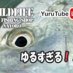 2023年 12/21 今宵もゆるちゅーぶ　南国フィッシング　in 宮古島