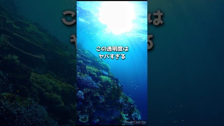 2023年 宮古島島尻港から15分の離島シュノーケリング　#大神島 #宮古島#shorts#おすすめ#旅