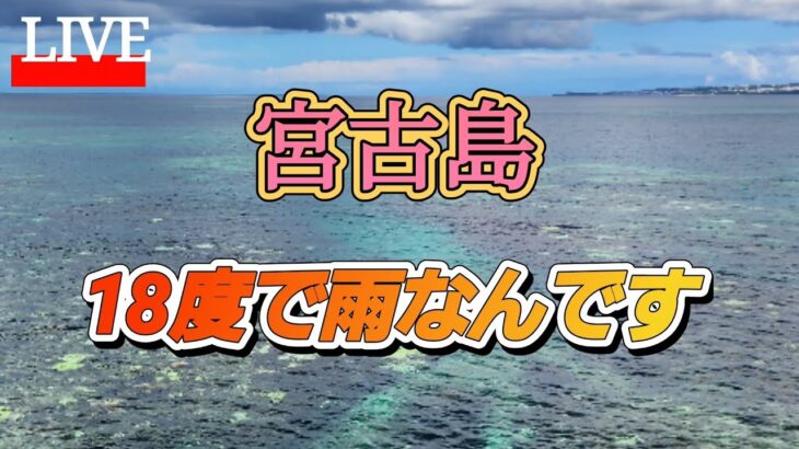 2023年 宮古島18度で雨なんです（笑）なぜw風もある#宮古島ライブ#南の島