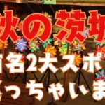 秋の茨城！！紅葉を楽しむ超有名2大スポットを巡っちゃいます/トンネルが有名な袋田の滝/バンジージャンプで有名な竜神大吊橋を巡ります