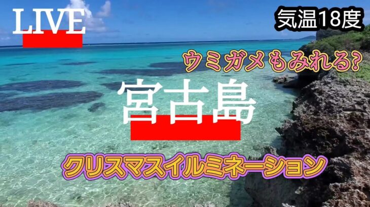 2023年 宮古島にもイルミネーションやってる?ウミガメ見れる?2024.12.19　気温18度風もある。