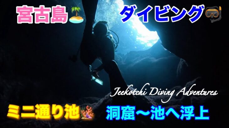 2023年 宮古島🏝ダイビング🤿ミニ通り池🪸洞窟〜池へ浮上😆👍2024年12月