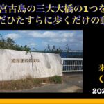 2023年 【宮古島の三大大橋を歩く】来間大橋(20241229) #宮古島