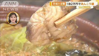 “脱最下位”茨城の魅力は北にあり　あんこう珍グルメに裏見の滝【グッド！いちおし】【グッド！モーニング】(2024年12月3日)