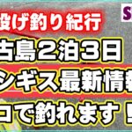 2023年 【世界投げ釣り紀行】宮古島2泊3日　ホシギス最新情報　ココで釣れます！！