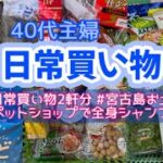 2023年 【日常買い物】 40代主婦の日常買い物/ 息子の宮古島お土産/ アッシュ君🐈‍⬛全身シャンプー