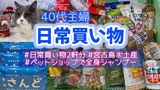 2023年 【日常買い物】 40代主婦の日常買い物/ 息子の宮古島お土産/ アッシュ君🐈‍⬛全身シャンプー