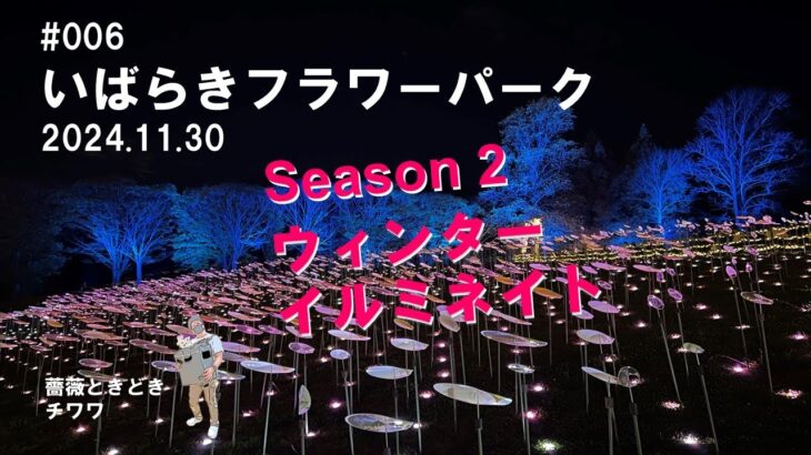 【4K】2024.11.30  いばらきフラワーパーク 　ウィンターイルミネイト