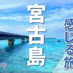 2023年 #6 島の息吹を感じる旅。宮古島。