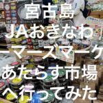 2023年 【宮古島】JAおきなわ ファーマーズマーケットみやこ あたらす市場 2024/11/12