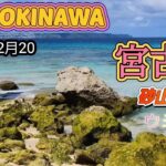 2023年 宮古島LIVE 今日は22度晴れてきた!　ウミガメも見れるよ!