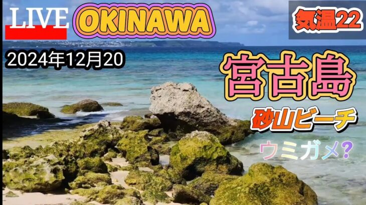 2023年 宮古島LIVE 今日は22度晴れてきた!　ウミガメも見れるよ!