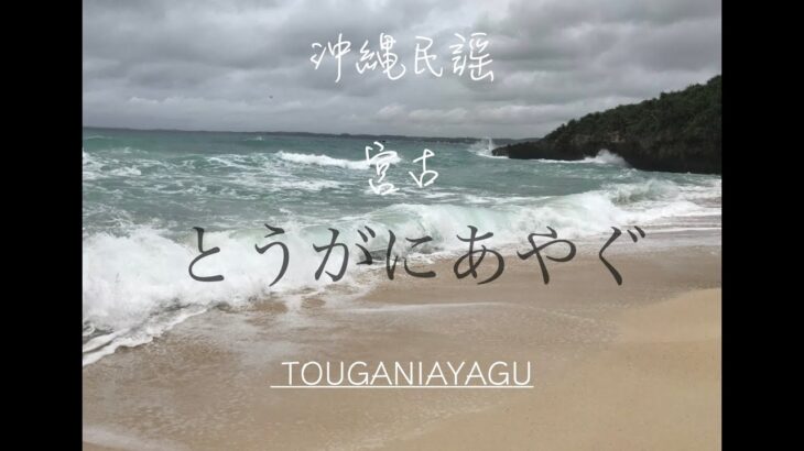 2023年 沖縄民謡（宮古） 　とうがにあやぐ　アコースティックバージョン (okinawan folk song “Tougani Ayagu”)