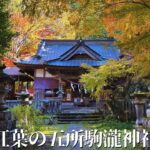 【茨城】秋色に染まる五所駒瀧神社 – 桜川市の紅葉絶景スポット【観光】