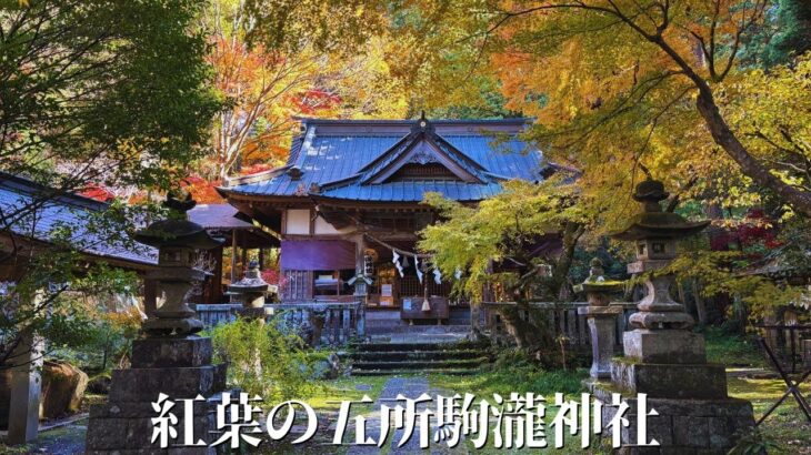 【茨城】秋色に染まる五所駒瀧神社 – 桜川市の紅葉絶景スポット【観光】