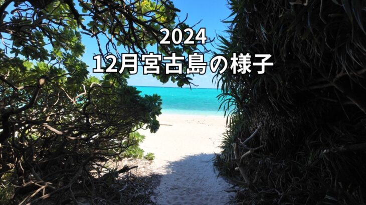 2023年 【宮古島神の気候到来】１２月の宮古島が神の気候すぎて最高だった！！地元民が巡る宮古島観光地の今【宮古島観光】【１２月宮古島の様子】