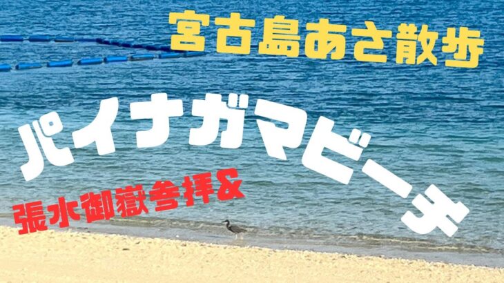 2023年 【沖縄】【宮古島】朝さんぽ