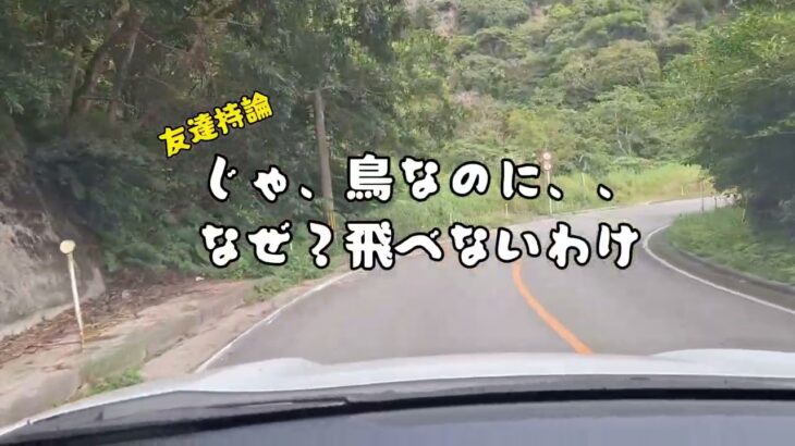 2023年 宮古島芸人　またにリフレッシュ