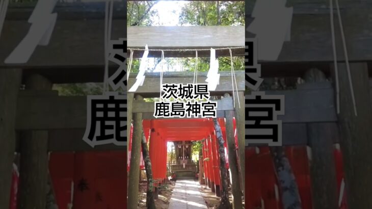 茨城県絶景スポット 鹿島神宮  茨城県観光スポット