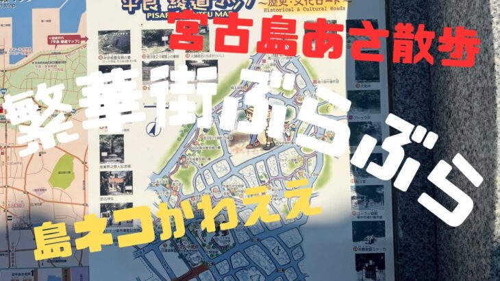 2023年 【沖縄】【宮古島】島ネコと遊んで繁華街ぶらぶら