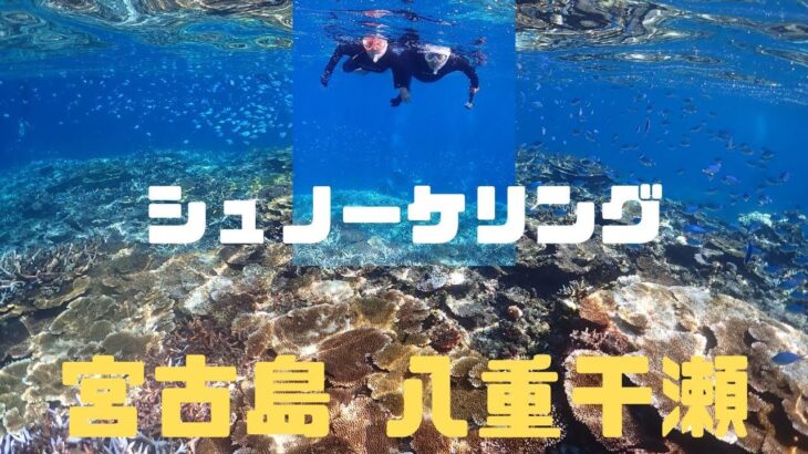 2023年 宮古島　八重干瀬　シュノーケル　宮古島にある日本最大級のサンゴ礁群を徹底紹介！