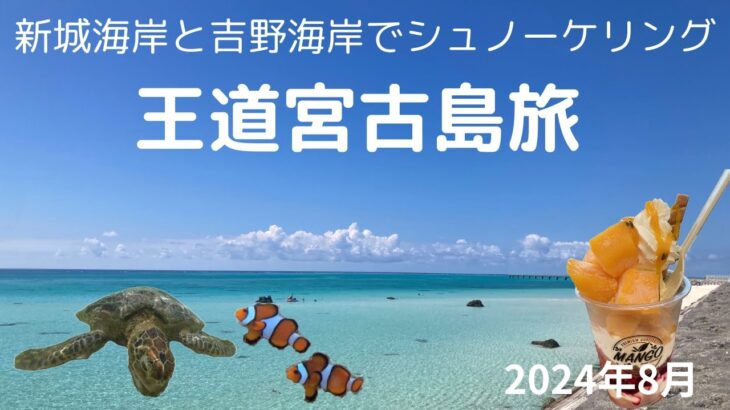 2023年 【宮古島トリップ】新城海岸と吉野海岸で潜る王道宮古島旅行 Ι ３泊４日 Ι グルメ