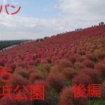 (茨城県)コキア紅葉と虎塚古墳（後編)