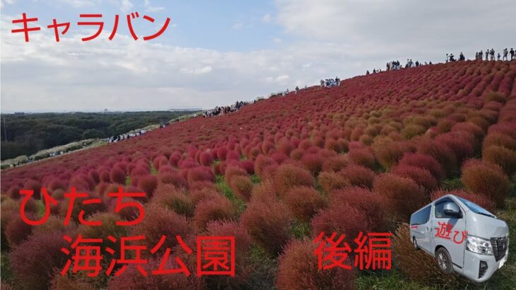 (茨城県)コキア紅葉と虎塚古墳（後編)