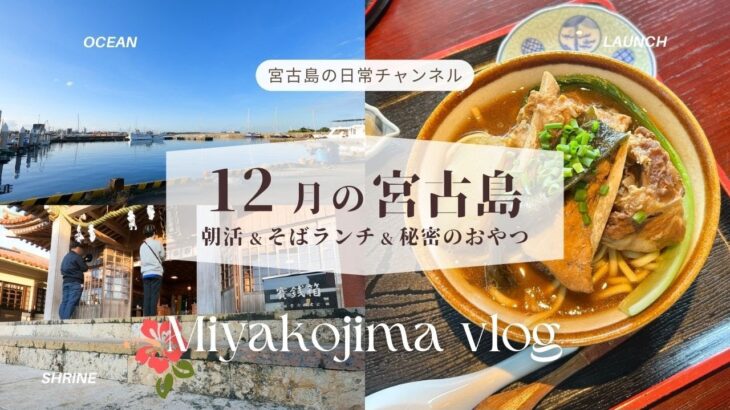 2023年 【日常vlog】冬の宮古島 │ 地元民が過ごす12月│ ちょっとだけ寒い宮古島の日常です❄️