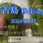 2023年 【移住vlog】2024年11月。宮古島移住生活🏝️1ヶ月のまとめ日記。