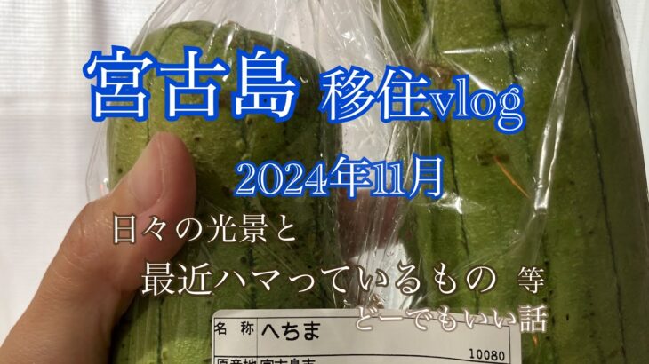 2023年 【移住vlog】2024年11月。宮古島移住生活🏝️1ヶ月のまとめ日記。