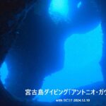 2023年 宮古島ダイビング「アントニオ・ガウディ」 with カピリナ 2024 12 10