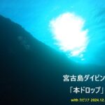 2023年 宮古島ダイビング「本ドロップ」 with カピリナ 2024 12 10