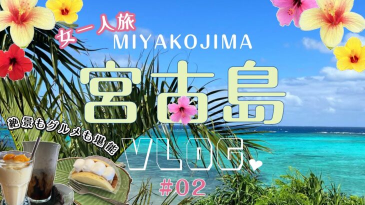 2023年 【10月〜11月 宮古島二週間ひとり旅②】初めてのゲストハウス宿泊&絶景とグルメを満喫