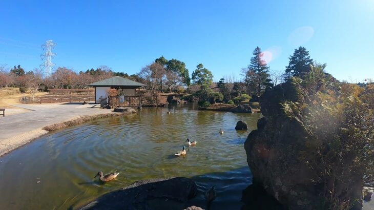 【1分間旅行】茨城牛久大仏の浄土庭園【4K風景動画】