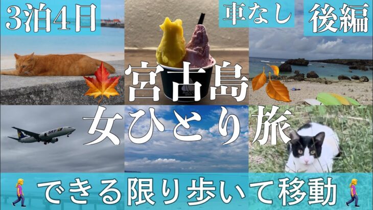 2023年 【後編🍂秋冬🍁宮古島•女ひとり旅】ほぼバスと徒歩で宮古島・下地島を巡る/ジェラート 宮古神社 パイナガマビーチ パイナガマ海空すこやか公園 中の島海岸 通り池 17エンド 他/車なし/できる限り歩く