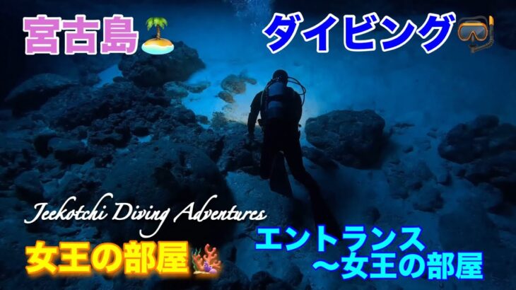 2023年 宮古島🏝ダイビング🤿女王の部屋🪸エントランス〜女王の部屋😆👍2024年12月