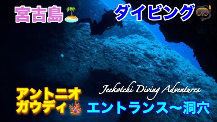 2023年 宮古島🏝ダイビング🤿アントニオガウディ🪸エントランス〜洞穴😆👍2024年12月