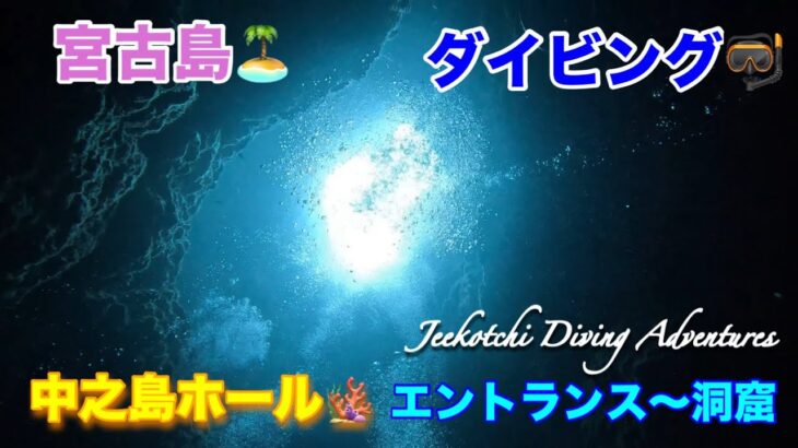 2023年 宮古島🏝ダイビング🤿中之島ホール🪸エントランス〜洞窟😆👍2024年12月